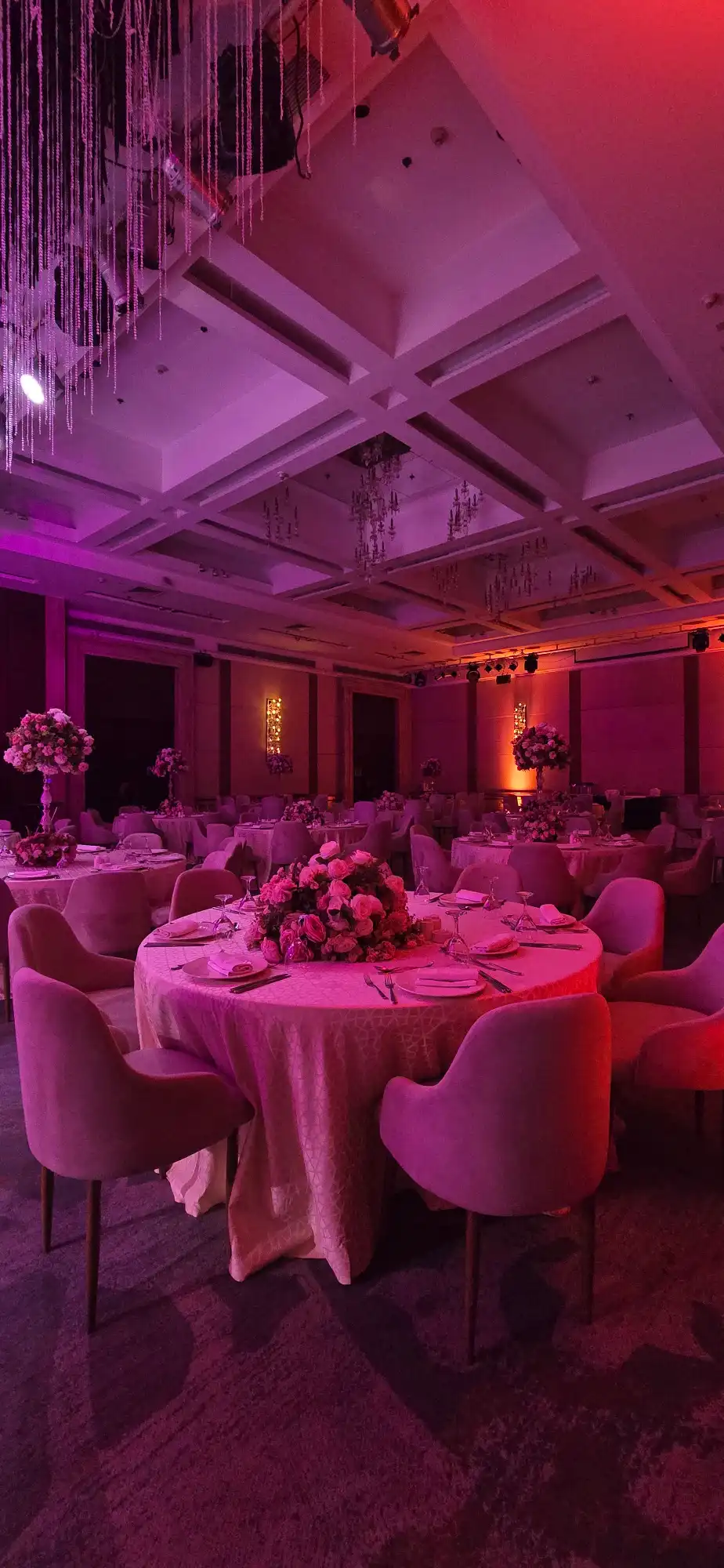Mohamed  Maryam — Mohamed  Maryam wedding