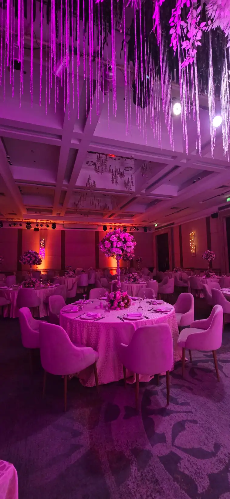 Mohamed  Maryam — Mohamed  Maryam wedding