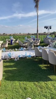 Alaa& moamed — Alaa& moamed wedding