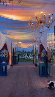 Alaa& moamed — Alaa& moamed wedding